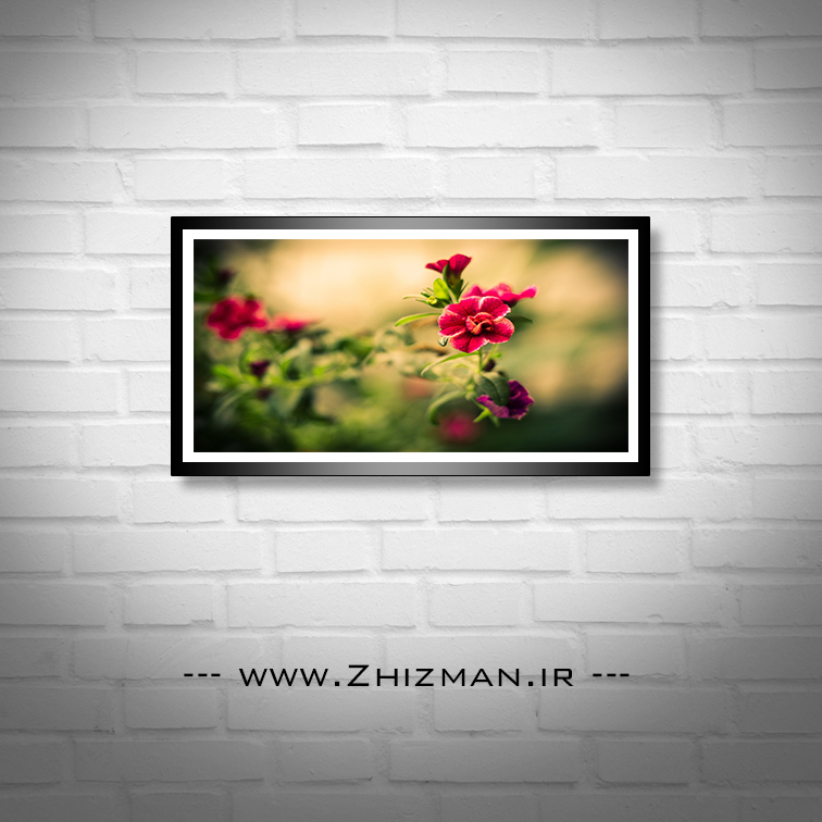 عکس گل قرمز با زمینه محو