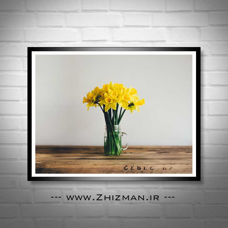 عکس گل نرگس زرد